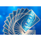 Наукові ігри, фокуси та досліди - Набір для фокусів Magic Five Гральні карти Blue deck (MF004)#2