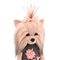 М'які тварини - М'яка іграшка Orange Lucky Yoyo Чайна троянда 37 см (LD3/065)#2