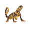 Фігурки тварин - Фігурка Lanka Novelties Ігуана маскова кілевата 42 см (21647)#2
