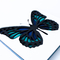 Наборы для творчества - 3D картина Rosa Talent Бабочка 3 17 х 17 см (N0003516)#4