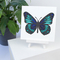 Наборы для творчества - 3D картина Rosa Talent Бабочка 3 17 х 17 см (N0003516)#5