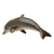 Фигурки животных - Фигурка Lanka Novelties Дельфин 18 см (21570)#3