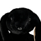 М'які тварини - М'яка іграшка WP Merchandise Зайченя Еш 12 см (FWPBUNNYASH22BK00)#5