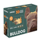 3D-пазлы - 3D пазл Cartonic Bulldog (CARTMBDG)#5