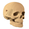 3D-пазли - 3D пазл Cartonic Skull (CARTSKUL)#2