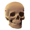 3D-пазлы - 3D пазл Cartonic Skull (CARTSKUL)#3