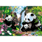 Товары для рисования - Картина по номерам Rosa Start Счастливые панды 35 х 45 см (N00013851)#2
