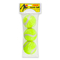 Спортивні активні ігри - М'ячі для тенниса Shantou Jinxing Tiger (FB18094)#2