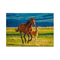 Пазлы - Пазл Dodo Воспитание маленького лошадки 1000 элементов (301176)#2