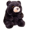 М'які тварини - М'яка іграшка Aurora Ведмідь бурий 28 см (210453B)#2