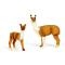 Фігурки тварин - Набір фігурок Kids Team Сафарі Альпака з малюком в асортименті (Q9899-A34/1)#2