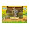Фігурки тварин - Ігрова фігурка Kids Team Сафарі Коала (Q9899-A50/5)#2