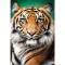 Пазли - Пазл Trefl Портрет тигра 1500 елементів (26204)#2