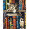 Товары для рисования - ​Картина по номерам Santi Котик и книги 40 х 50 см (954688)#2