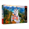 Пазлы - Пазл Trefl Premium Замок Нойшванштайн Германия 1000 элементов (10813)#2