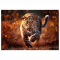 Пазлы - Пазл Trefl Premium Plus Дикий леопард 1000 элементов (10818)#3