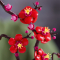 Конструкторы LEGO - Конструктор LEGO Botanicals Сливовой цвет (10369)#6