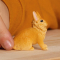 Фигурки животных - Фигурка Schleich Львиный кролик (13974)#2