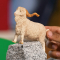 Фигурки животных - Фигурка Schleich Ангорская коза (13970)#2