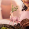 Фігурки тварин - Фігурка Schleich Чарівний гламурний олень (70793)#3