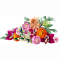 Конструкторы LEGO - Конструктор LEGO Botanicals Красивый букет розовых цветов (10342)#2