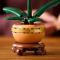 Конструкторы LEGO - Конструктор LEGO Botanicals Мини орхидея (10343)#6