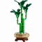 Конструктори LEGO - Конструктор LEGO Botanicals Бамбук щастя (10344)#2