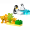 Конструктори LEGO - Конструктор LEGO DUPLO Сімейства диких тварин: Пінгвіни та Леви (10442)#2
