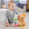 Развивающие игрушки - Развивающая игрушка Fisher-Price Капибара (HYR54)#3