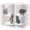 Познавательные книги (4-10 лет) - Книга «Большая книга. Котята»  (9789669367709)#3
