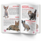 Познавательные книги (4-10 лет) - Книга «Большая книга. Котята»  (9789669367709)#4