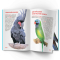 Познавательные книги (4-10 лет) - Книга «Большая книга. Попугаи» (9786177268283)#5
