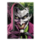 Пазлы - Пазл DoDo DC Easy-S Batman Джокер 150 элементов (200556)#2
