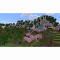 Товары для геймеров - Игра консольная PS5 Minecraft (5056635611741)#4