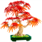 Конструктори LEGO - Конструктор LEGO Botanicals Бонсай з японського червоного клена (10348)#2