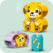 Конструкторы LEGO - Конструктор LEGO DUPLO My First Сортировщик фигур: дом для щенков (10441)#7