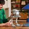 Конструкторы LEGO - Конструктор LEGO Star Wars Крокоход AT-ST (75417)#6