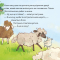 Книги-картинки для детей (2-6 лет) - Книга «Самое красочное стадо овец в мире» (9786177781966)#5