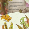 Книги-картинки для детей (2-6 лет) - Книга «Мегастрахозавр» (9786178307028)#3