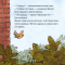Книги-картинки для детей (2-6 лет) - Книга «Ночь в саду» (9786178307158)#5