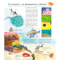 Познавательные книги (4-10 лет) - Книжка «Чому? Чого? Навіщо? Досліджуємо морських тварин» Андреа Ерне (9789661068000)#5