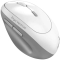 Клавіатура і миші - ​Миша Genius Ergo 8350S Silent AI WL біло-сіра (31030041401)#2