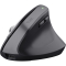 Клавиатура и мыши - Мышка Trust Bayo Ergonomic BT/WL/USB-A черный (25146_TRUST)#2