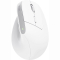 Клавиатура и мыши - Мышка Trust Bayo Multidevice Ergonomic BT/WL/USB-A белый (25399_TRUST)#3