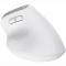 Клавиатура и мыши - Мышка Trust Bayo Multidevice Ergonomic BT/WL/USB-A белый (25399_TRUST)#4