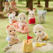 Фигурки животных - ​Игровой набор Sylvanian Families Ягнята-двойняшки обновленный (5829)#8