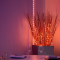 Мебель для геймеров - ​Гирлянда Smart LED Twinkly Dots Lights RGB 400 IP44 20м USB-C кабель черный (TWD400STP-BEU)#5