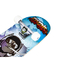 Скейтборди - Скейтборд (Скейт) дерев'яний (канадський клен) Scale Sports Hands Free (748779775)#3