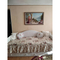 Детская мебель - Кровать детская Мебель UA Ассоль Белль Прованс Белый дуб (56662)#3