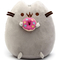 Подушки - Комплект М'яка іграшка кіт з пончиком Pusheen cat та Антистрес іграшка Mokuru (vol-727)#3